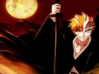 Kurosaki Ichigo, Hollow