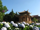 Ogród, Altana, Kwiaty, Wietnam