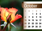Kalendarz, Róże, Październik, 2013r