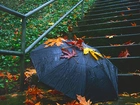 Schody, Parasol, Liście, Jesień