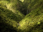 Wodospad, Góry, Las, Kauai, Hawaje