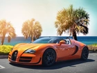 Bugatti, Palmy