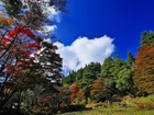 Park, Kolorowe, Drzewa, Chmury, Jesień