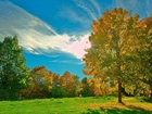 Łąka, Kolorowe, Drzewa, Jesień