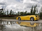 Żółte, Lamborghini, Felgi