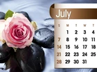 Kalendarz, Róża, Lipiec, 2013r
