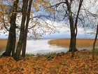 Jezioro, Drzewa, Liście, Jesień