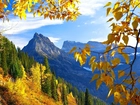 Jesień, Góry, Drzewa