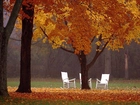 Jesień, Drzewa, Białe, Krzesła