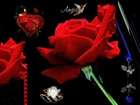 Walentynki, Róże