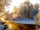 Rzeka, Ośnieżone, Drzewa, Zima