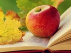 Jabłko, Książka, Jesienny, Liść