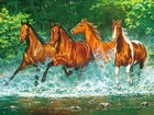 Cztery, Konie, Rzeka