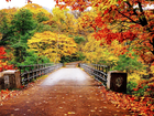 Mostek, Las, Kolorowe, Drzewa, Jesień
