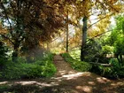 Park, Ścieżka, Ławeczka, Drzewa