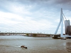 Erasmus Bridge, Rotterdam, Holandia, Rzeka