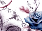 Kwiat, Niebieska, Róża