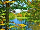 Jesień, Jezioro, Drzewa, Kolorowe, Liście