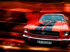 Ford Mustang, Pomarańczowy