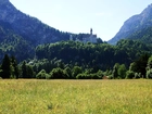 Zamek, Neuschwanstein, Łąka, Zalesione, Góry