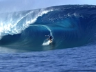 Surfing, Sport, Morze
