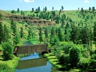 Most, Covered Bridge, Washington, Drzewa