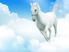 Koń, Niebo, Chmury