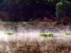 Jezioro, Rośliny, Mgła