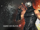 Dead Of Alive 5, Ryu Hayabusa