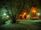 Park, Drzewa, Lampy, Noc, Zima