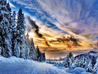 Zachód Słońca, Drzewa, Śnieg