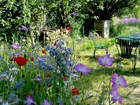 Ogród, Kwiaty, Stolik, Krzesła