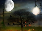 Obraz, Brama, Drzewo, Liście, Księżyc