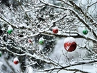 Ośnieżone, Drzewo, Bombki, Świąteczne, Zima