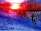 Zachody Słońca, Kolorowe, Niebo, Drzewo, Zima