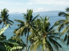 Palmy, Ocean, Filipiny