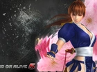 Dead Of Alive 5, Kasumi