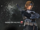 Dead Of Alive 5, Hayate