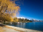 Jezioro, Plaża, Góry, Drzewa, Wakatipu, Nowa Zelandia