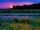 Zachód Słońca, Jezioro, Kwiaty