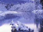Jezioro, Drzewa, Śnieg