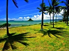 Ocean, Wyspa, Palmy, Hawaje
