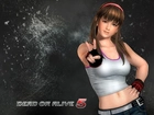 Dead Of Alive 5, Hitomi