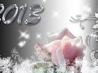 Nowy Rok, Róża, Mróz