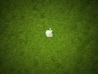 Apple, Logo, Łąka