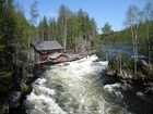 Rzeka, Zalesione, Brzegi, Domek, Oulanka, Finlandia