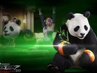 Tekken Blood Vegeance, Panda