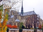 Katedra, Notre Dame, Paryż, Francja