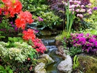 Ogród, Kaskada, Kolorowe, Rododendrony, Azalie