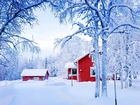 Czerwone, Domy, Śnieg, Zima, Ośnieżone, Drzewa